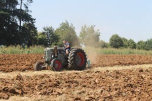 IMG 536307 Luglio 2023