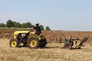 IMG 536707 Luglio 2023