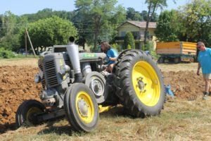 IMG 537007 Luglio 2023