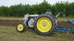 Trattorata 30 04 23 50030 Aprile 2023