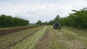 Trattorata 30 04 23 50330 Aprile 2023